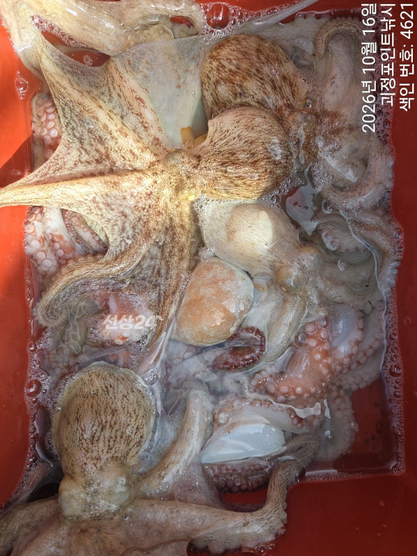 KakaoTalk_20261016_160956198_10.jpg