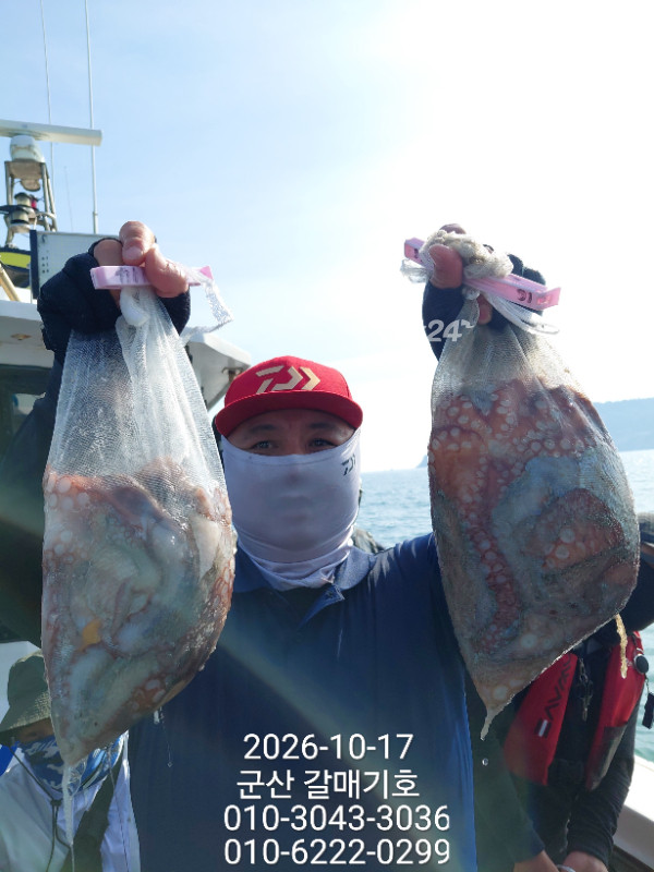 12241.jpg