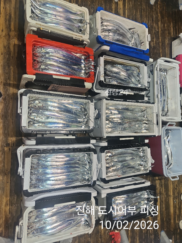 KakaoTalk_20261002_051645074_09.jpg