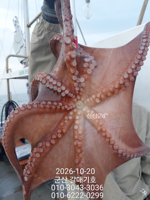 12503.jpg