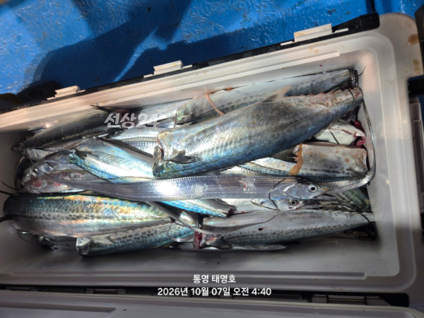 KakaoTalk_20261007_044540424_09.jpg