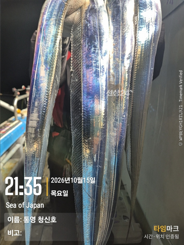 통영청신호입니다_사진_20261016_11.jpg