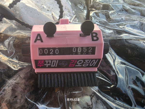 02.jpg