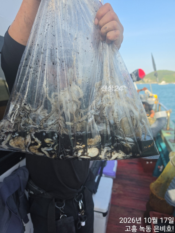 고흥 녹동 은비호!(두족류,돌돔,외수질)_사진_20261018_17.jpg