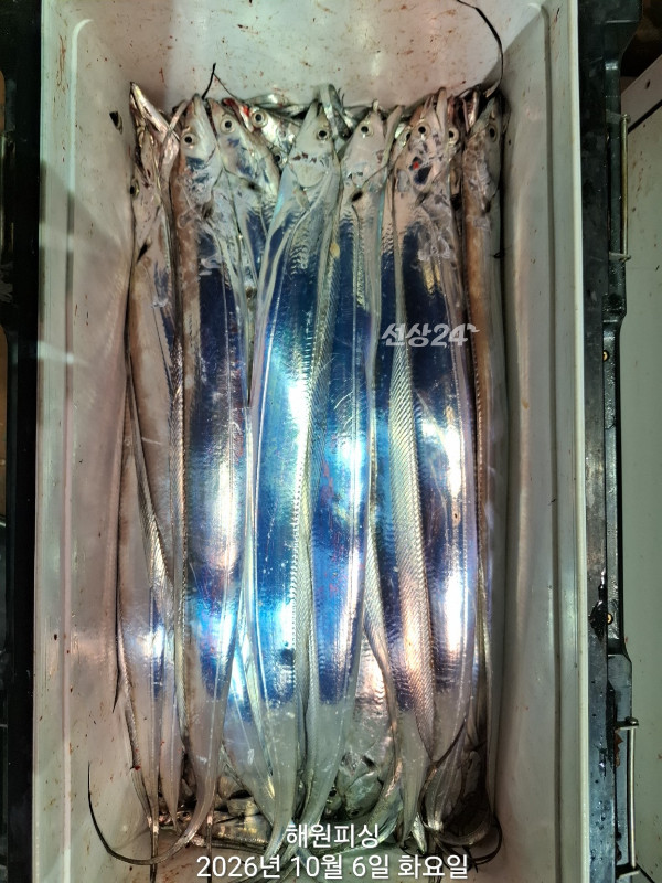 1000037214.jpg