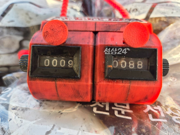 25316.jpg
