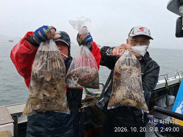 IMG_20261020_144900.jpg
