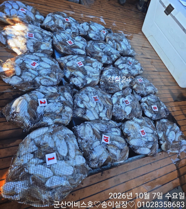 1000031455.jpg