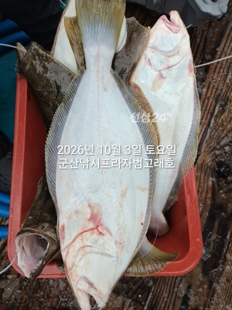 KakaoTalk_20261003_144137408_06.jpg