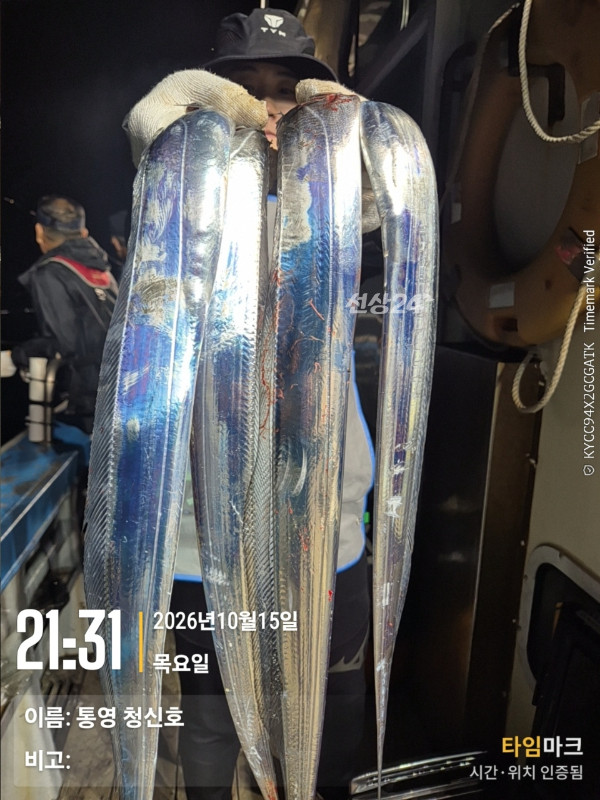 통영청신호입니다_사진_20261016_13.jpg
