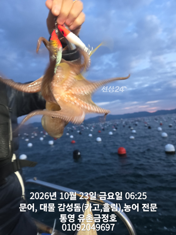 1000063053.jpg