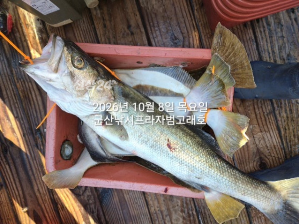 KakaoTalk_20261008_163832700_08.jpg