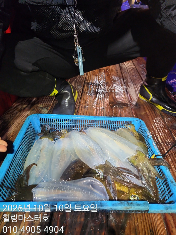 KakaoTalk_20261010_041557627_16.jpg