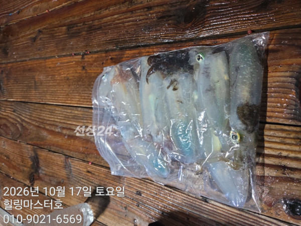 KakaoTalk_20261017_033707364_11.jpg