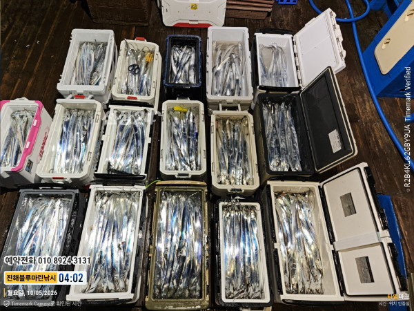 20261005_040212_대한민국_제목-진해블루마린낚시_글꼴-예약전화 010 8924 3131(1).jpg