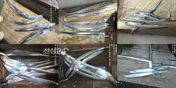 사본 - haejeok_6_original_collage.jpg