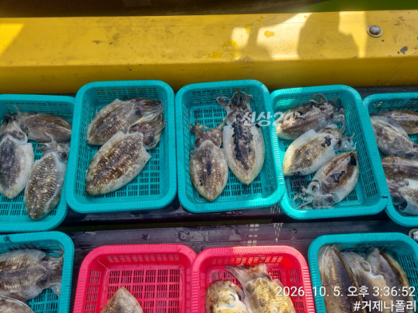 KakaoTalk_20261005_183632009.jpg