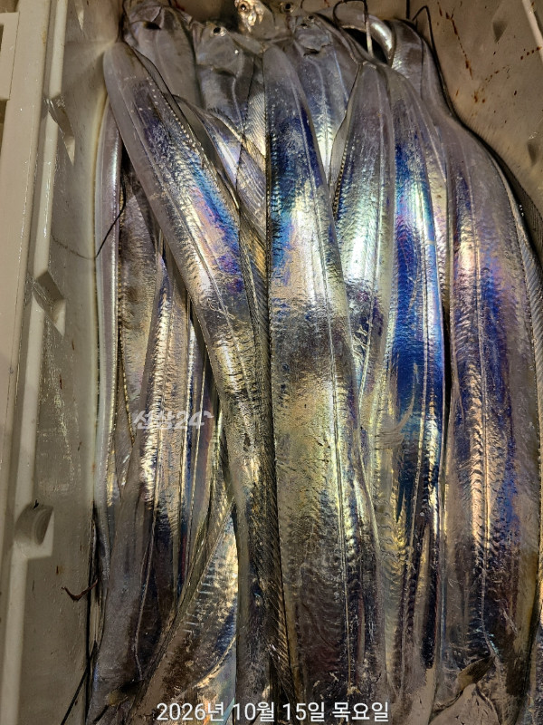 D0C2D349-662E-4874-BA3F-983C426F41F3.jpeg