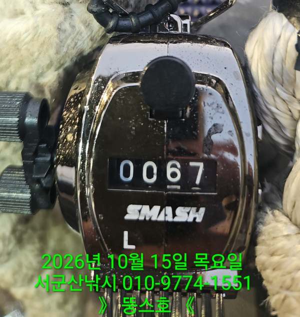 군산 선상낚시, 바다낚시 출조 전문 ☆서군산낚시☆_사진_20261015_2.jpg