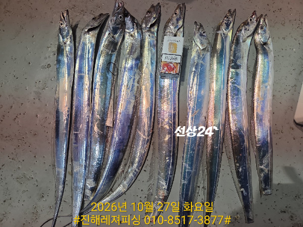 1000108350.jpg