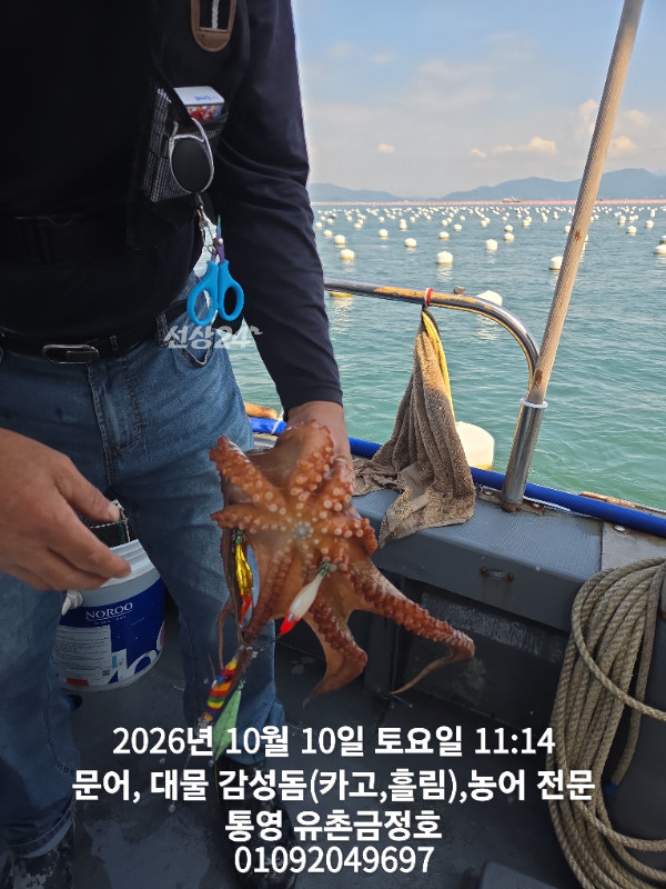 1000062416.jpg