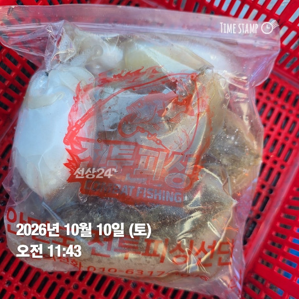 KakaoTalk_20261010_132841901_06.jpg
