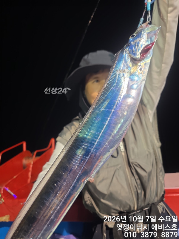 73135.jpg