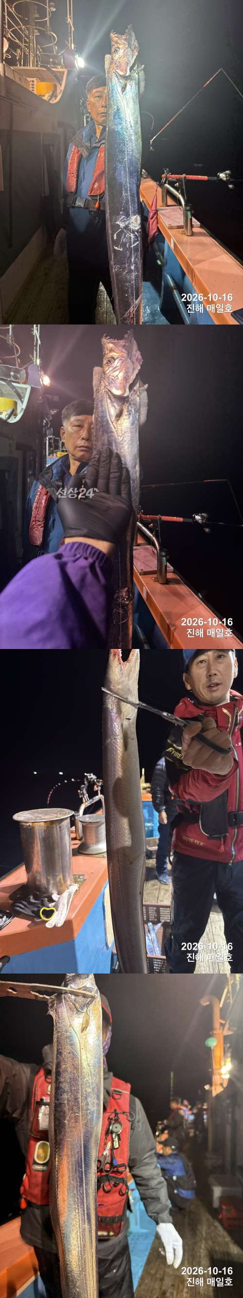 갈치1.jpg