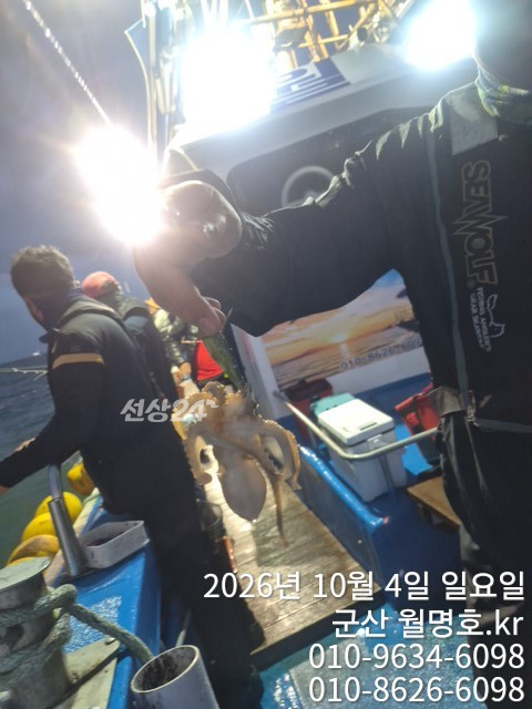 18055.jpg