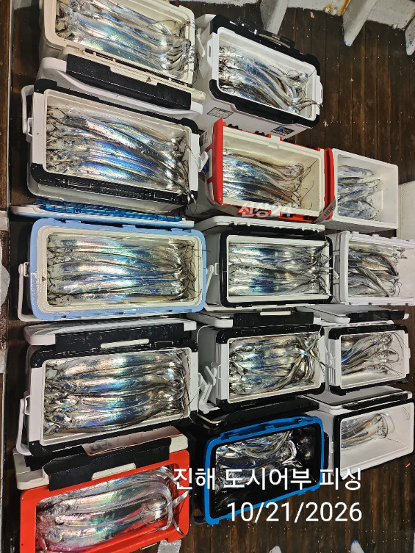 KakaoTalk_20261021_040550071_13.jpg