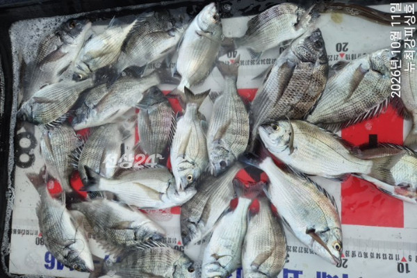 00.jpg