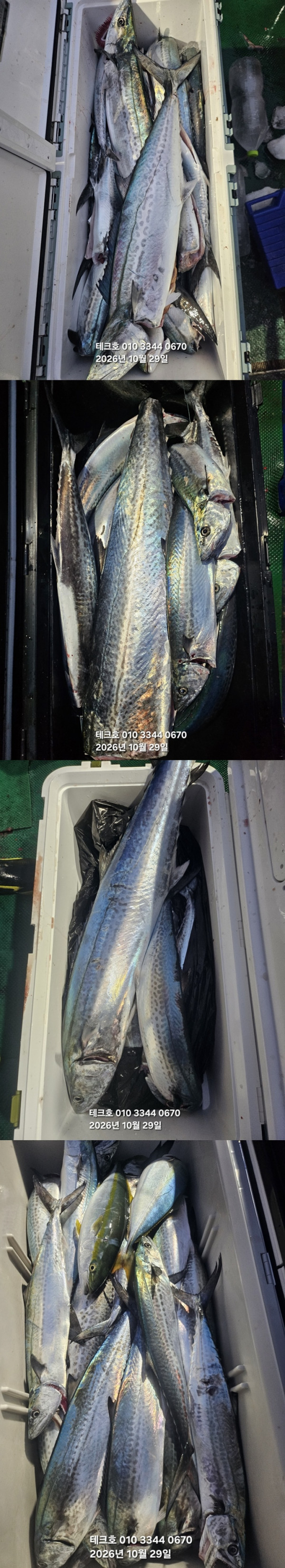 KakaoTalk_20261029_173751216_03-vert.jpg