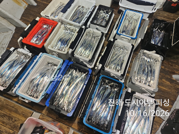 KakaoTalk_20261016_060819468_16.jpg