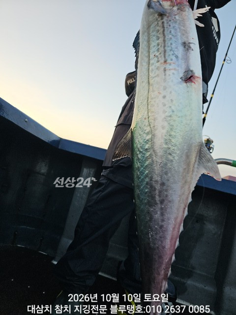 20261010_174208.jpg