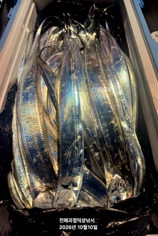 1000084736.jpg