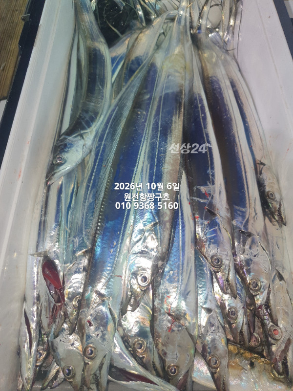 KakaoTalk_20261006_045621155_05.jpg