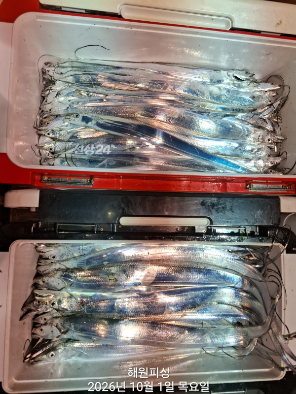 1000037096.jpg