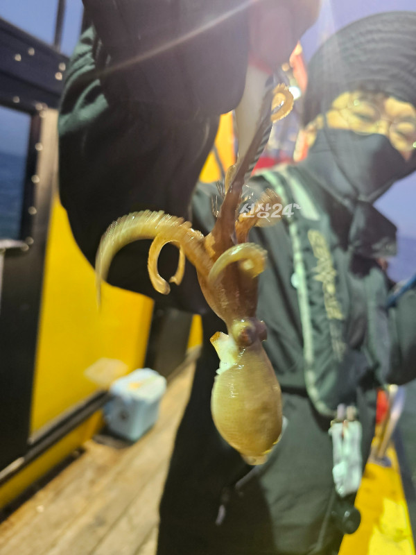 KakaoTalk_20261008_170549650.jpg