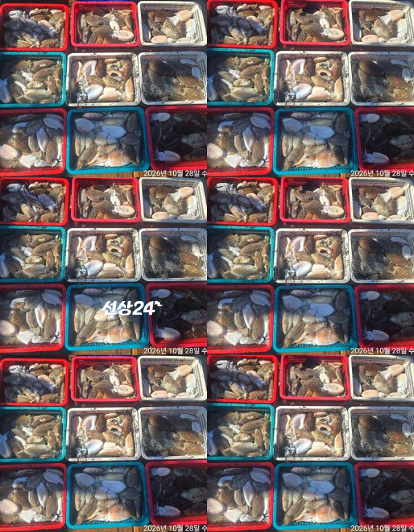 1793165156314-tile.jpg