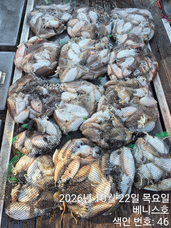 KakaoTalk_20261022_195252308_04.jpg