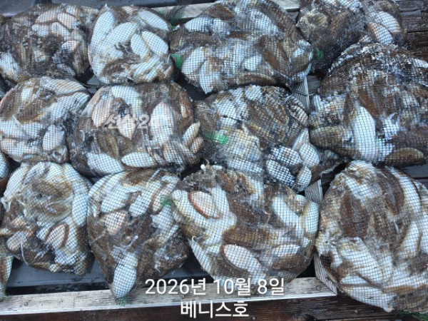 KakaoTalk_20261008_180930034_03.jpg