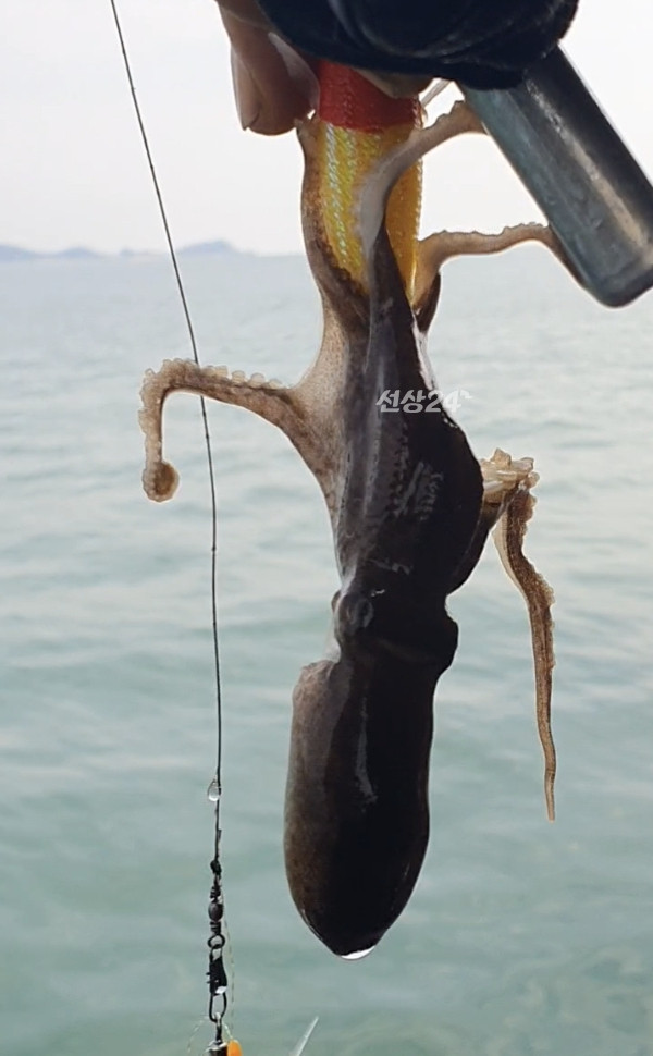 Screenshot_20261013_134623_Video Player.jpg