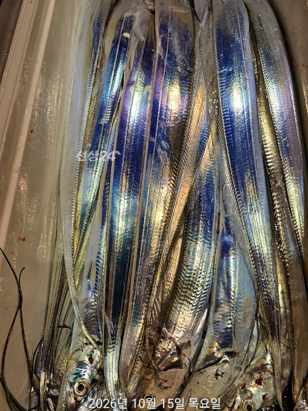 7C018052-DE22-44C1-843F-05D295FF6052.jpeg