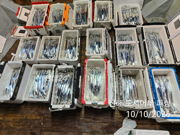 KakaoTalk_20261010_043600356_05.jpg