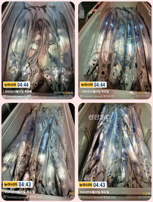 KakaoTalk_20261029_061804866_12-tile.jpg