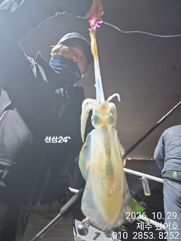 제주왔어호_사진_20261030_4.jpg