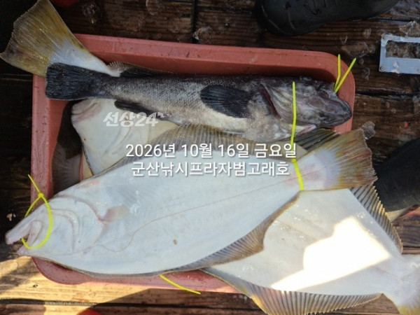 KakaoTalk_20261016_163731307_01.jpg