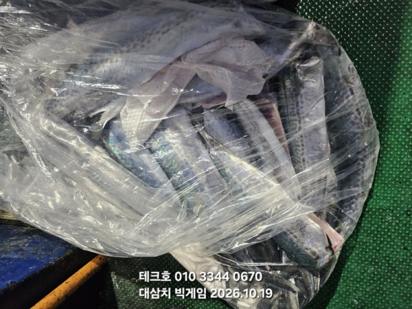KakaoTalk_20261019_182134301_05.jpg