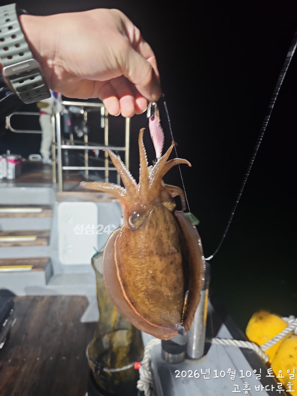 1000041657.jpg