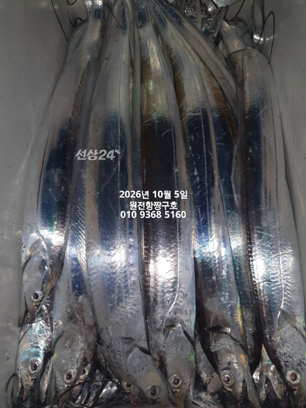 KakaoTalk_20261005_051425255_01.jpg